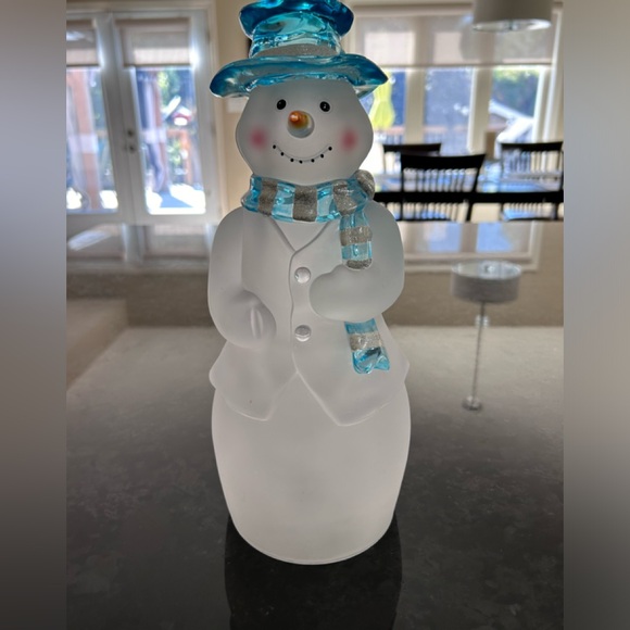 Snowman with plug in light. - Picture 1 of 8